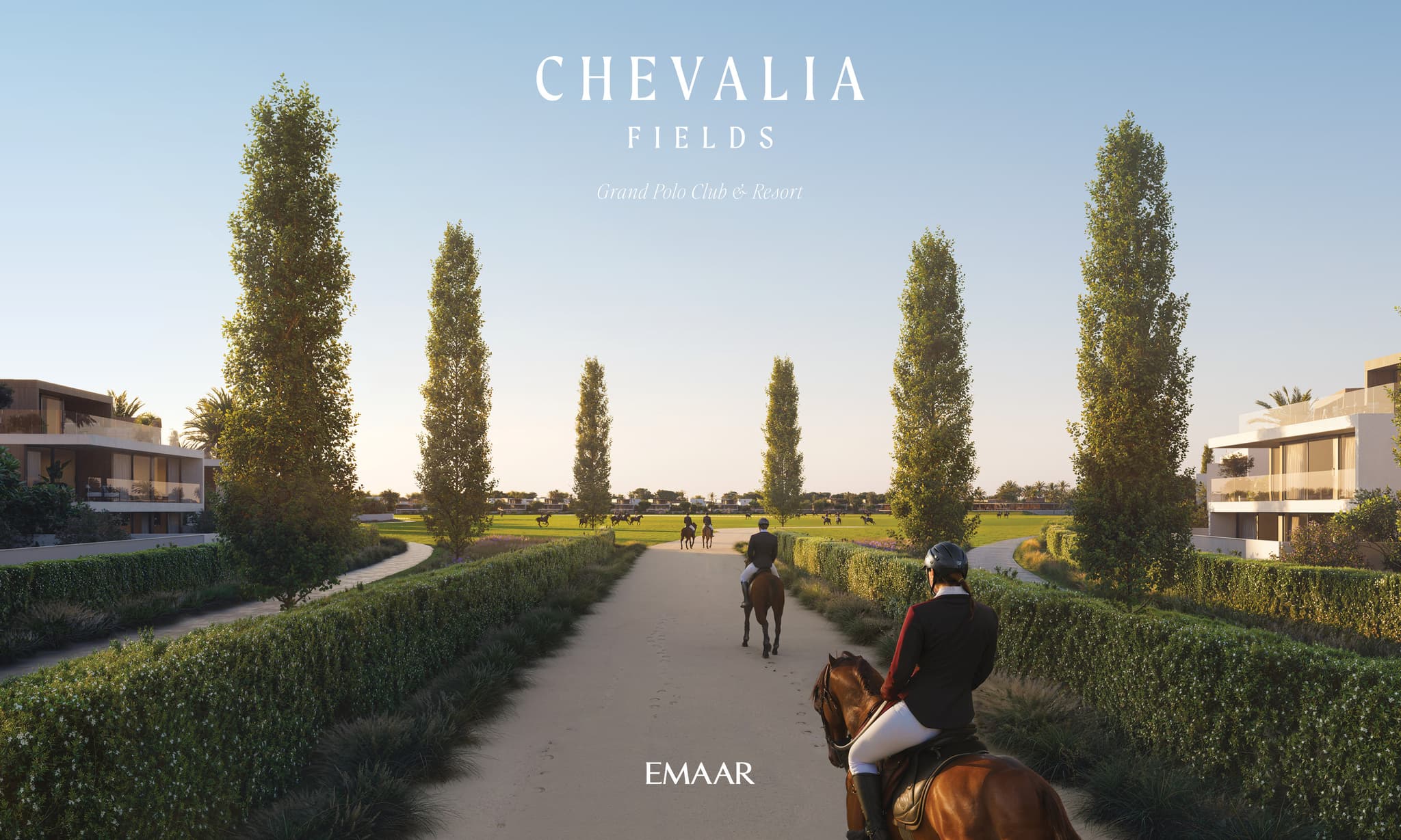 Chevalia Fields — CHEVALIA FIELDS IMAGE