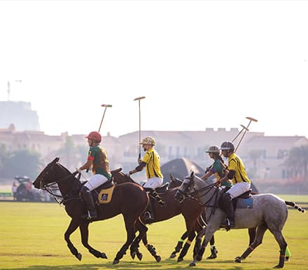 Reference — Dubai-polo mb