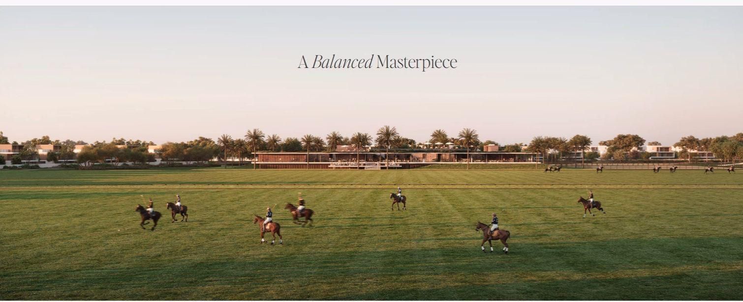 Polo match field